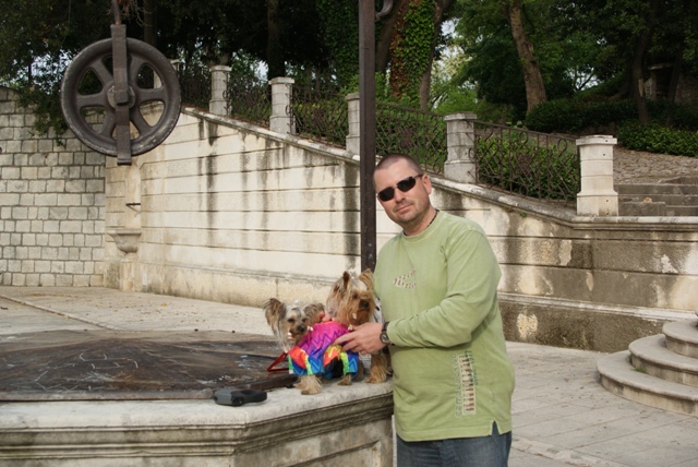 Elli from The Golden Morning - yorkshire terrier | We looked at the old town of Zadar.