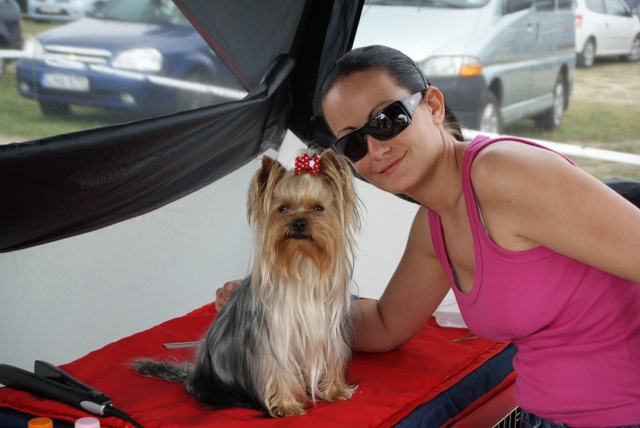Bright Eyed Hiro Fred - yorkshire terrier |  Niki was happy with me.