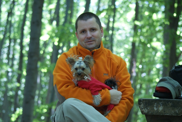 Elli from The Golden Morning - yorkshire terrier | On the hill we rest.