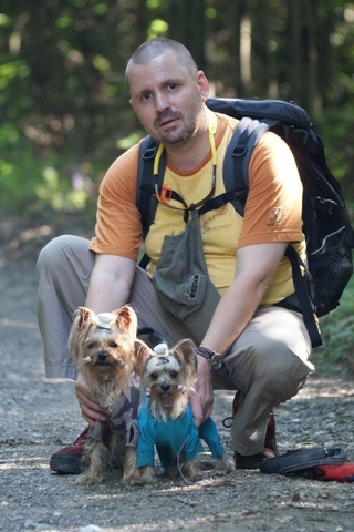 Elli from The Golden Morning - yorkshire terrier | On tour.