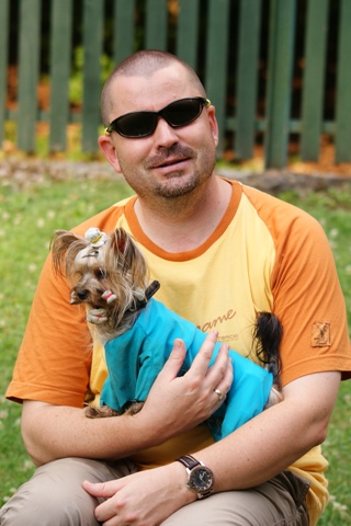 Elli from The Golden Morning - yorkshire terrier | Papi looks at the camera and I'm listening to Gubanc.