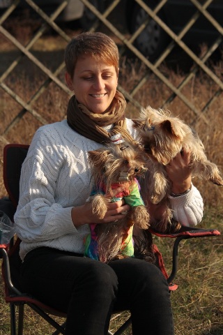 Elli from The Golden Morning - yorkshire terrier | Antics with Gubanc and Mami.