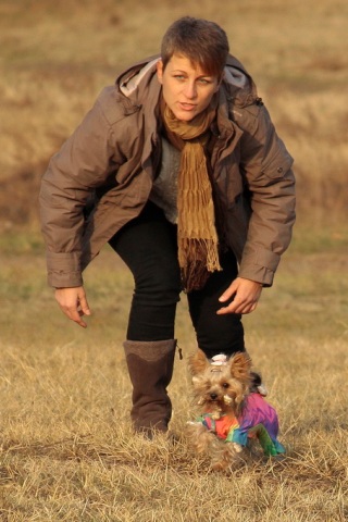 Elli from The Golden Morning - yorkshire terrier | My first start...
