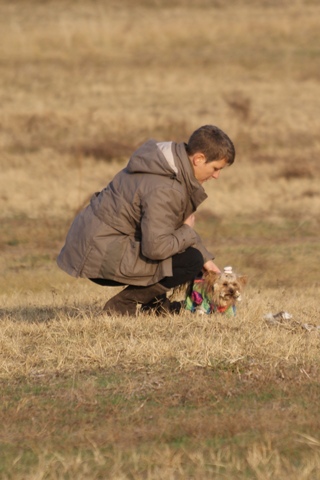 Elli from The Golden Morning - yorkshire terrier | I arrived. I love it.