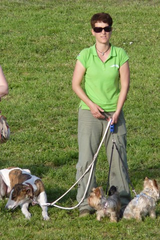Elli from The Golden Morning - yorkshire terrier | Announcement of results.