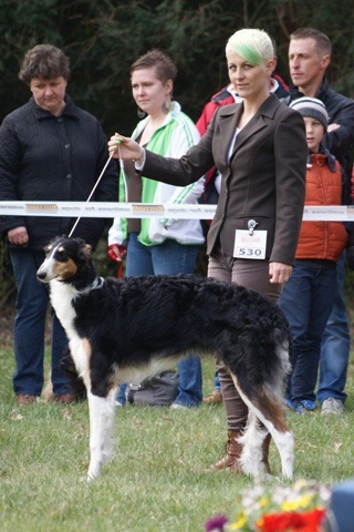 Ninochka's Bellet Blestka - borzoi | My first dog show.