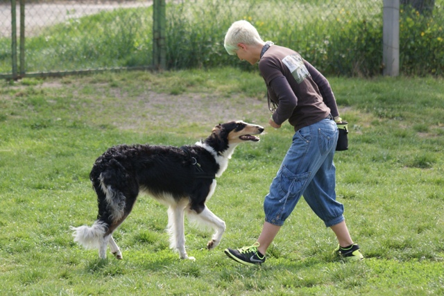 Ninochka's Bellet Blestka - borzoi | Cheerfully in kindergarten.