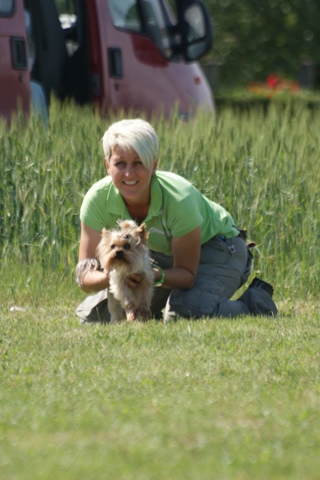 Bright Eyed Hiro Fred - yorkshire terrier | It's hard to hold back the forces of the horse.