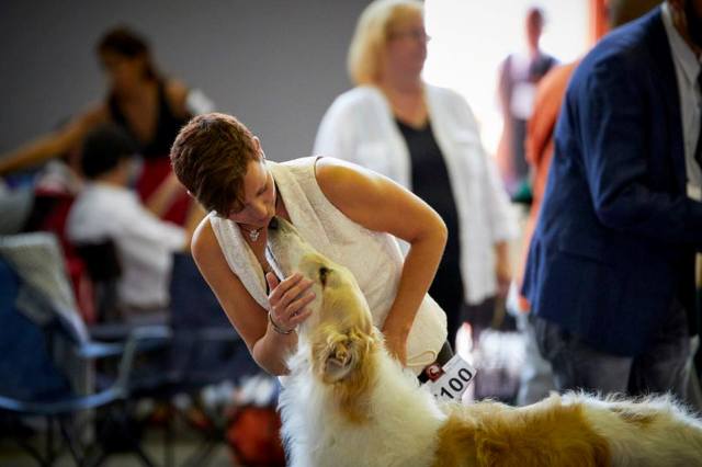 Go Go Bolshoi Jesse James - borzoi, magyar agár | The love.