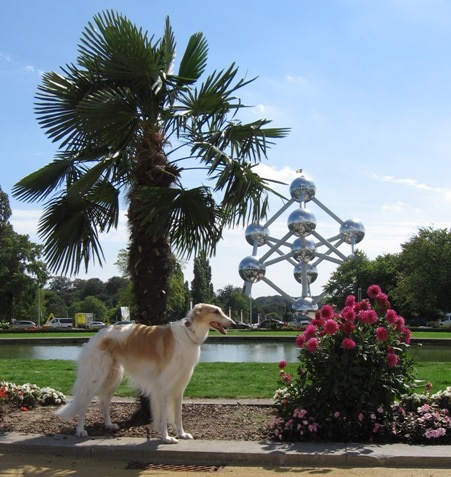 Go Go Bolshoi Jesse James - borzoi, magyar agár | Me and the Atomium monument in Brussels Heysel Park.