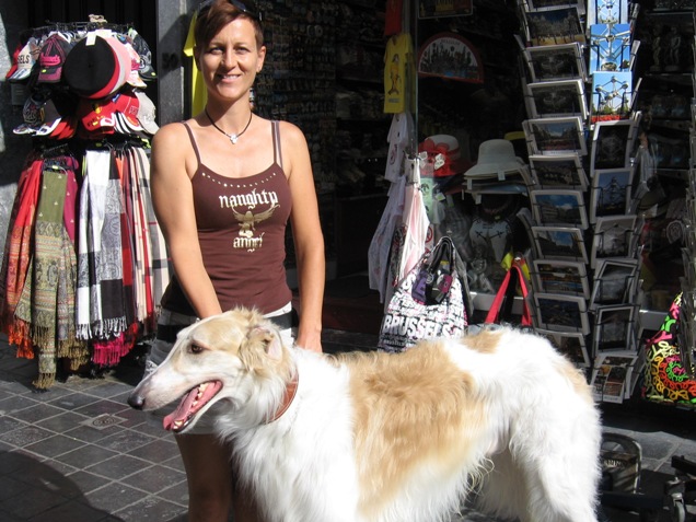 Go Go Bolshoi Jesse James - borzoi, magyar agár | Sightseeing in Brussels...